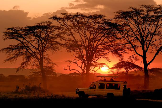 Flight experience from Zanzibar to Mikumi