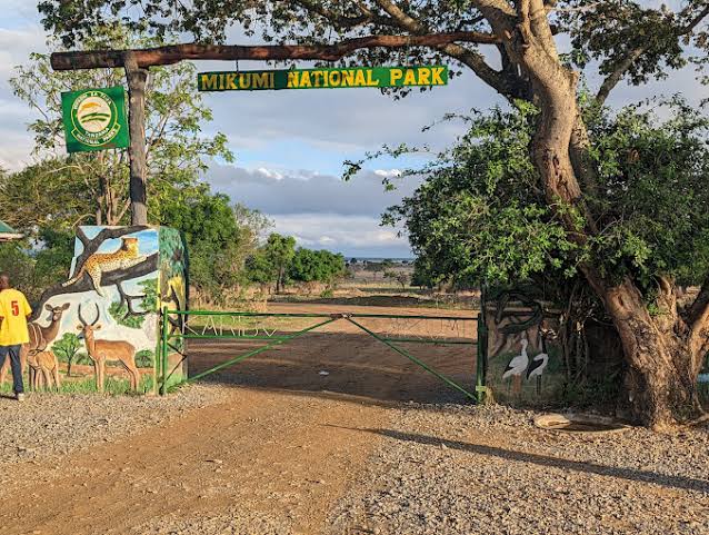 Safari moment in Tanzania